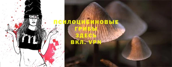 гашик Балабаново