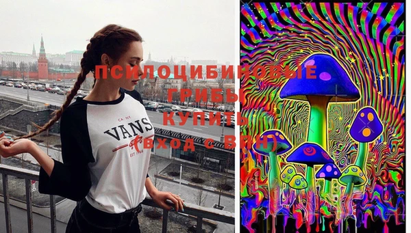 гашик Балабаново