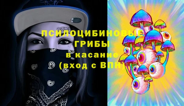 гашик Балабаново