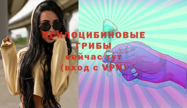 гашик Балабаново