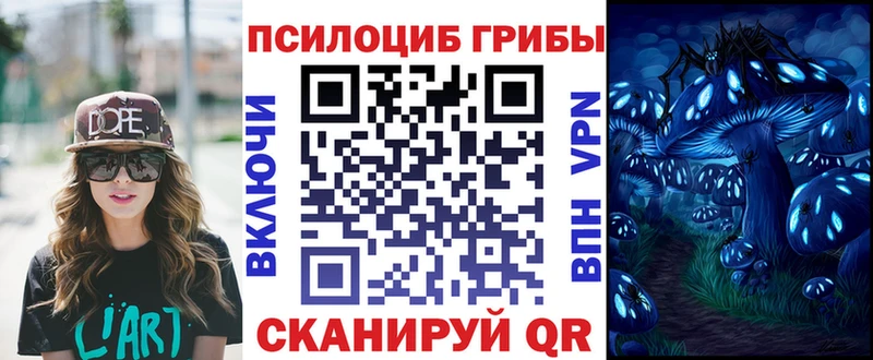 Галлюциногенные грибы прущие грибы  MEGA ТОР  Лукоянов 